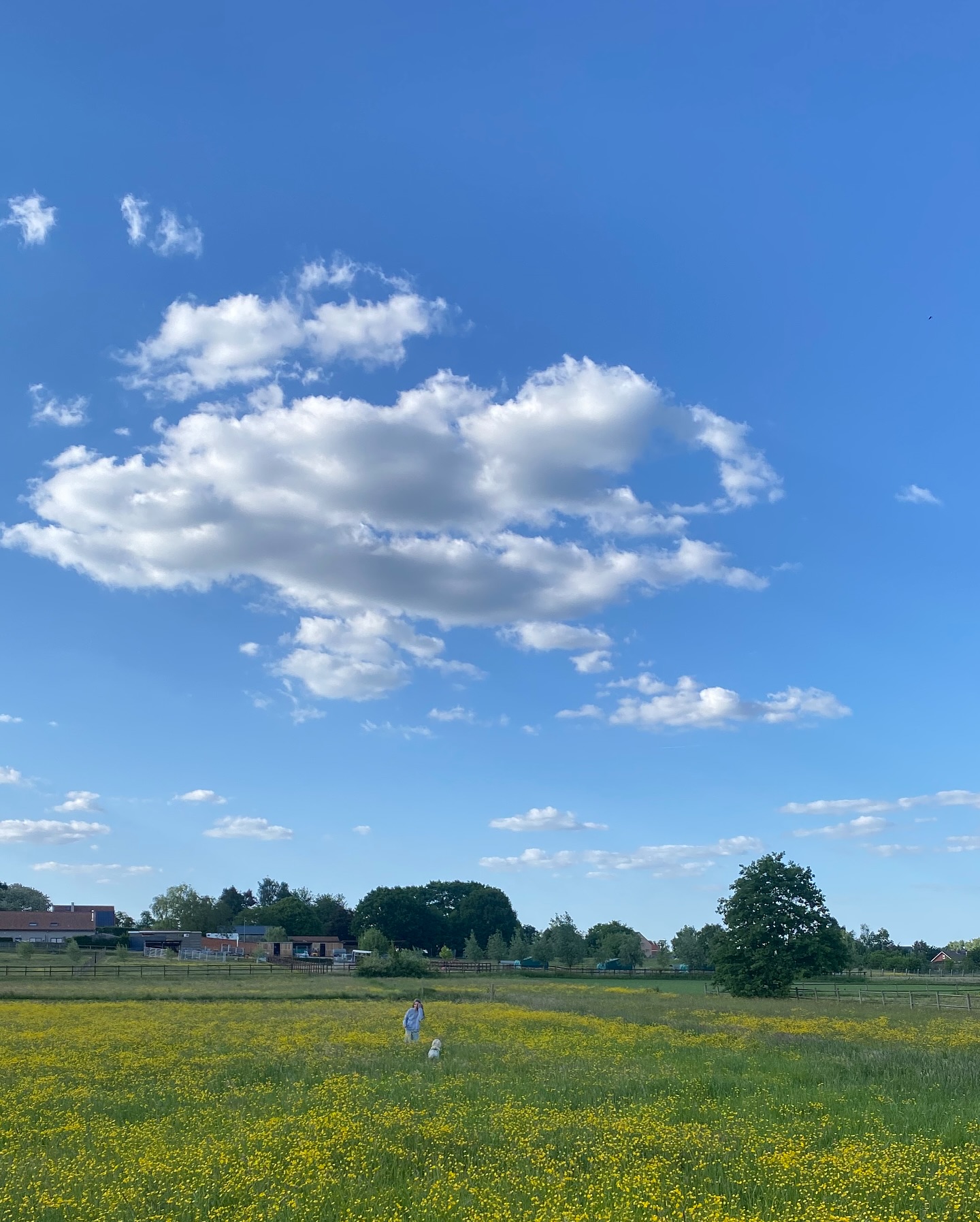 holistische coaching