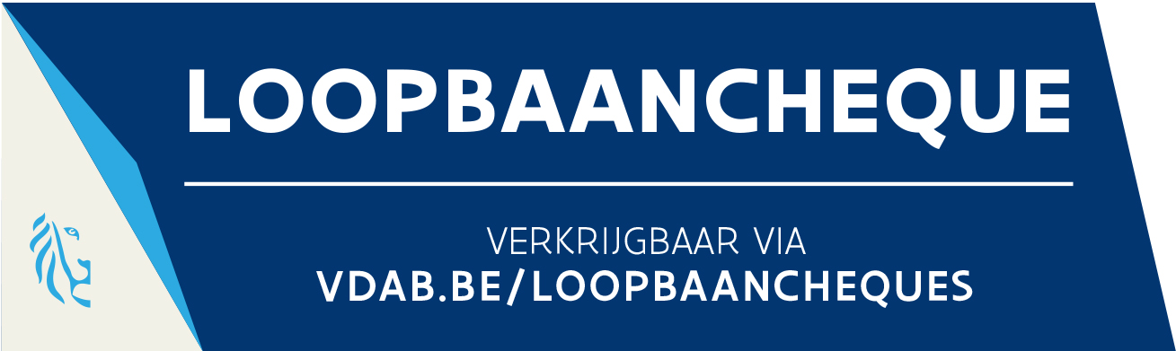 loopbaanbegeleiding VDAB