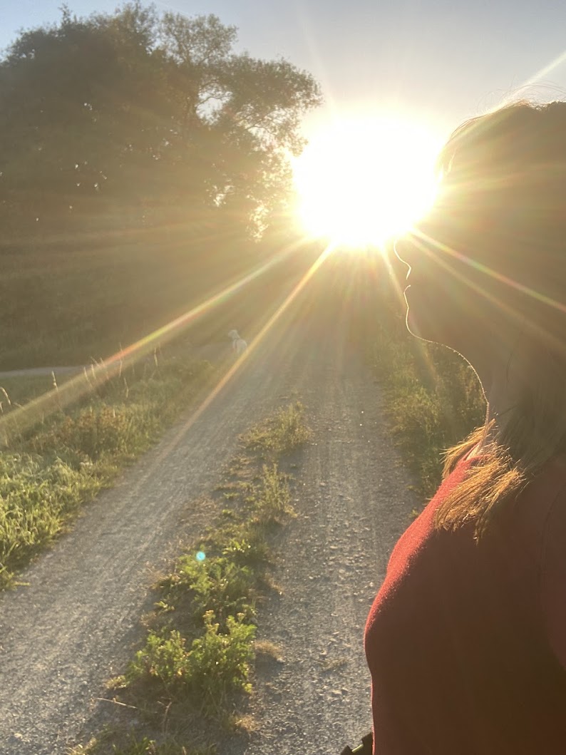 reiki België